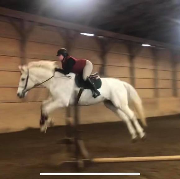 carolineadam721